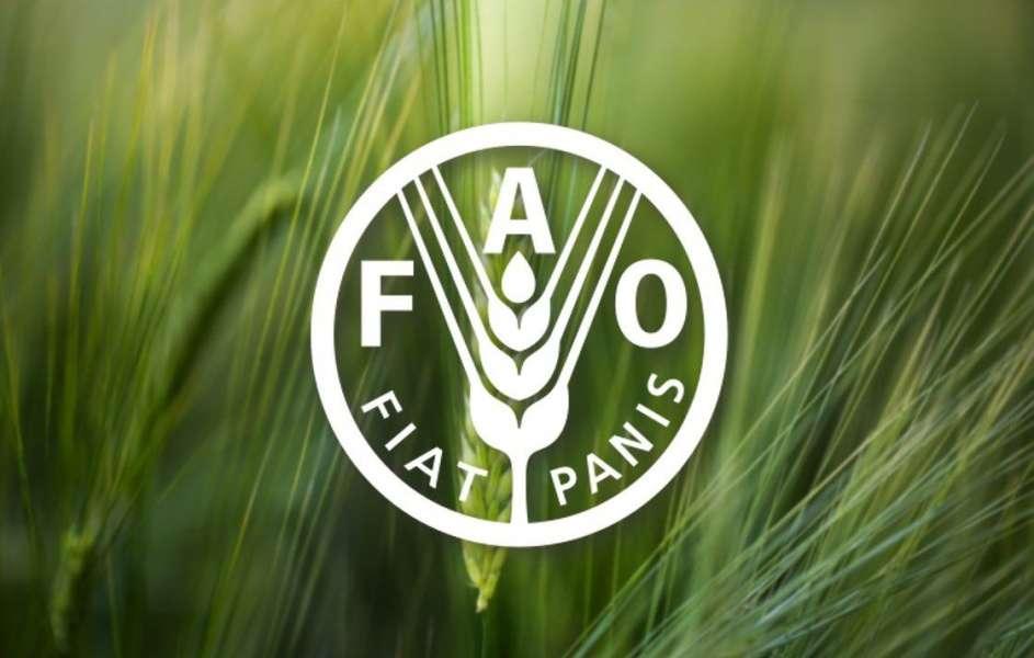 ФАО Грантова підтримка для мікро- та малих виробників аграрної продукції