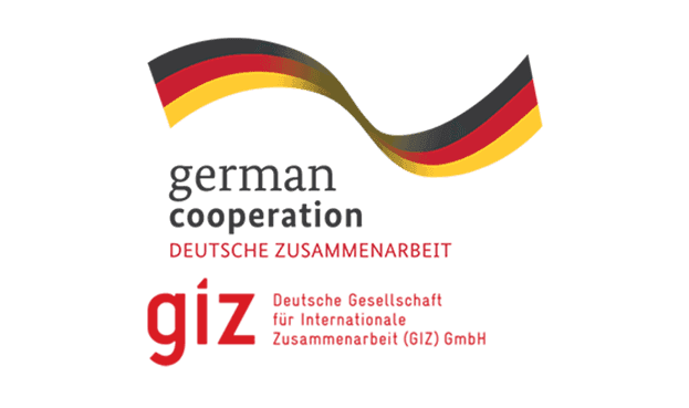 GIZ: Гранти, ініціативи та перспективи співпраці з Україною