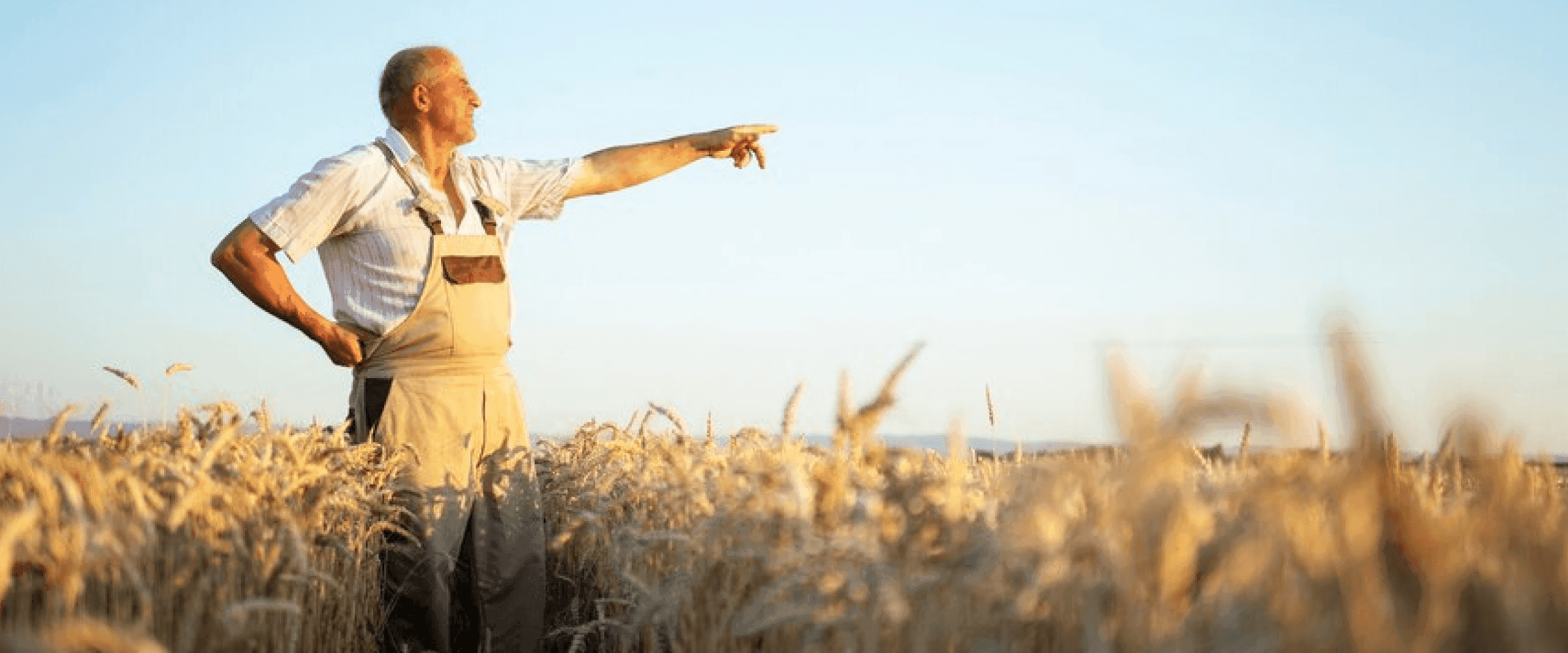 Грант на відновлення українських фермерів від ООН (ФАО)